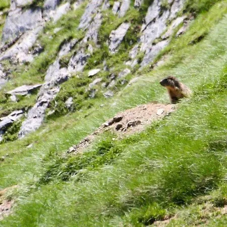 Appartamento Cauterets, 2 Pièces, 4 Personnes - Fr-1-401-109